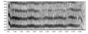 spektrogram