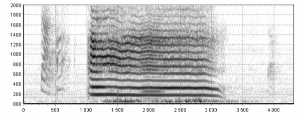 Wyjątkowo duży wpływ subharmoniki na postać spektrogramu