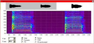 analiza głosu spektrogram